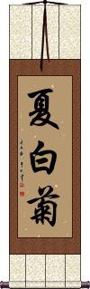 Scroll