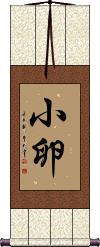 Scroll