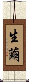 Scroll