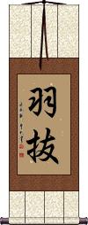 Scroll