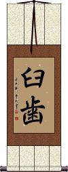Scroll