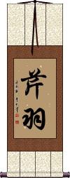 Scroll