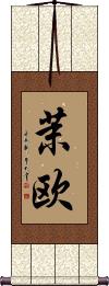 Scroll