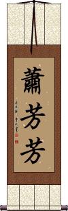 Scroll