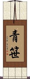 Scroll