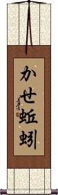 Scroll