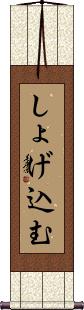 Scroll