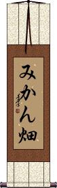 Scroll
