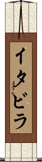 Scroll