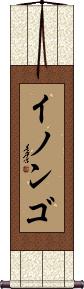 Scroll