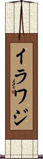 Scroll
