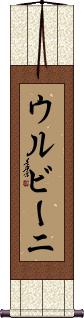 Scroll