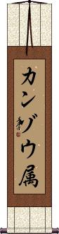 Scroll