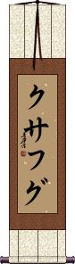 Scroll