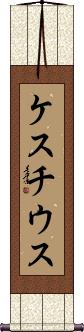 Scroll