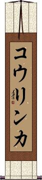 Scroll