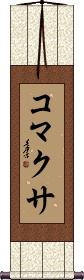 Scroll