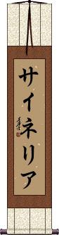 Scroll