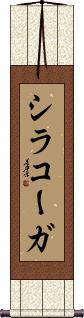 Scroll