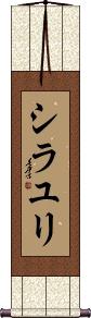 Scroll