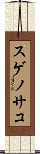Scroll