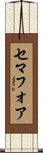 Scroll