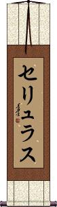 Scroll
