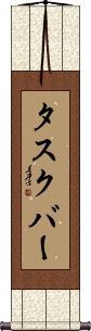 Scroll