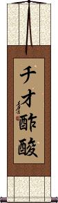 Scroll