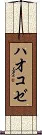 Scroll