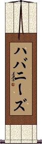 Scroll