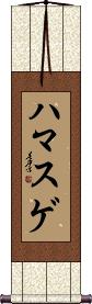 Scroll