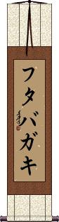 Scroll