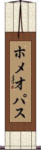 Scroll