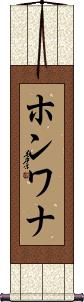 Scroll