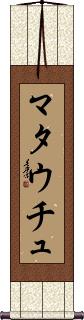 Scroll