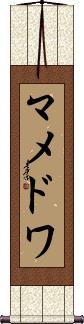 Scroll