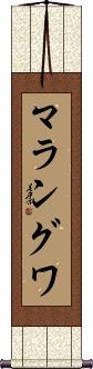 Scroll