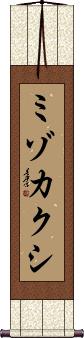 Scroll