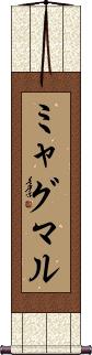 Scroll