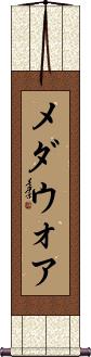 Scroll