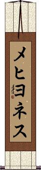 Scroll