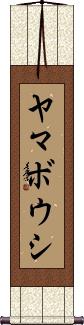 Scroll