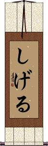 Scroll