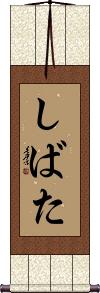 Scroll