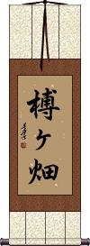 Scroll