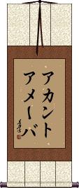 Scroll