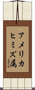 Scroll