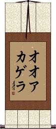 Scroll