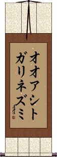 Scroll